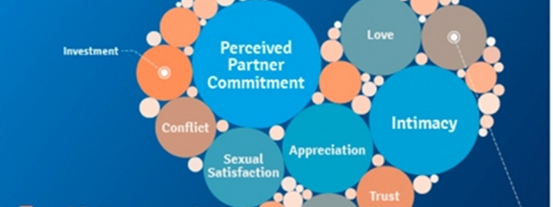 What are the strongest relationship satisfaction factors? 