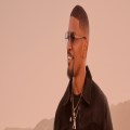 Fantastic Mr Foxx 